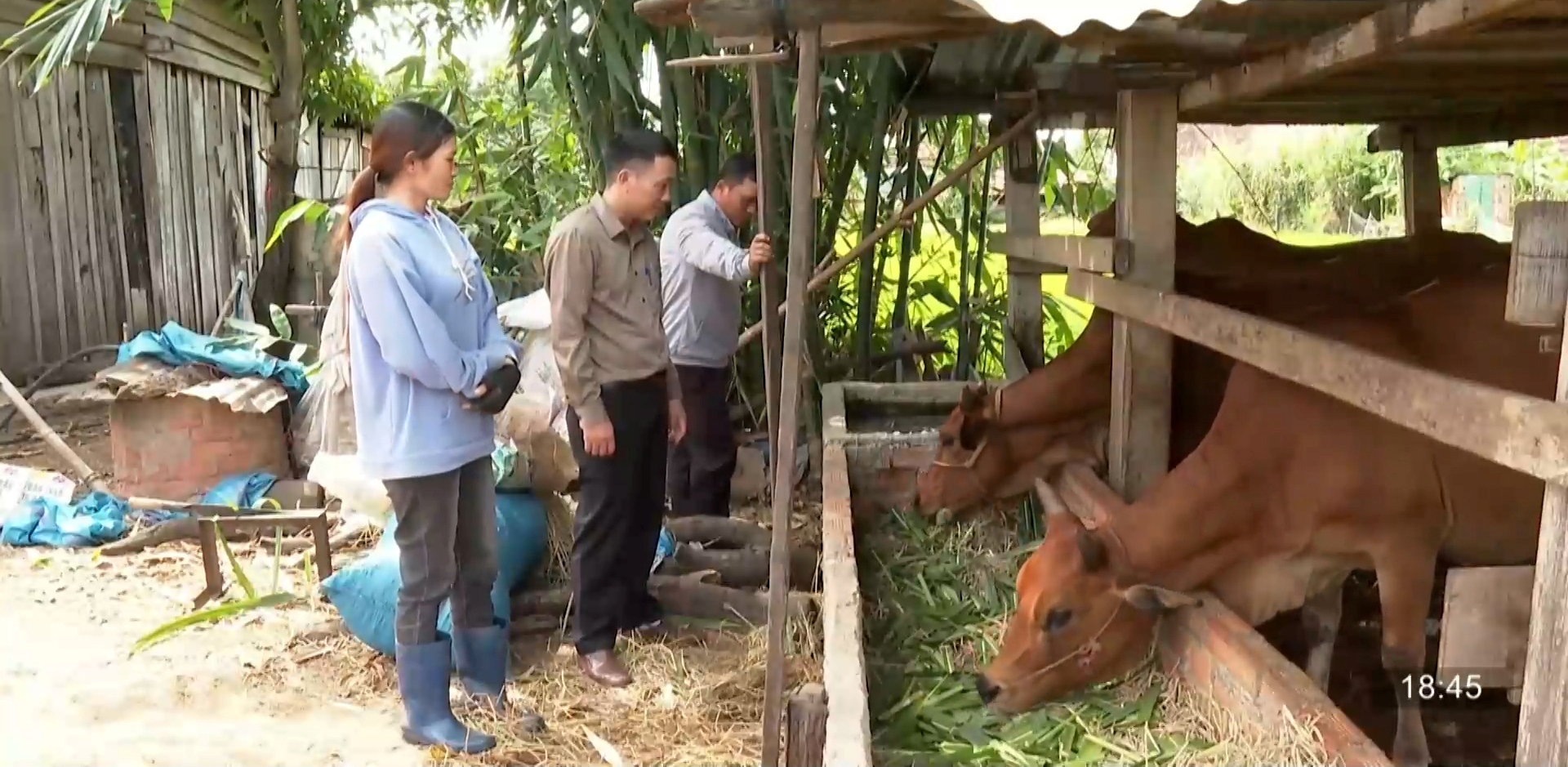Thăm mô hình phát triển kinh tế tại hộ gia đình xã Cư Kbang